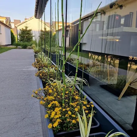 5 Zmyslow Akademia Wypoczynku Bed & Breakfast