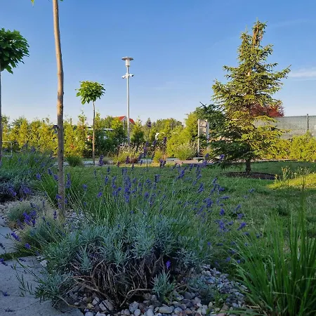 5 Zmyslow Akademia Wypoczynku Bed & Breakfast 4*