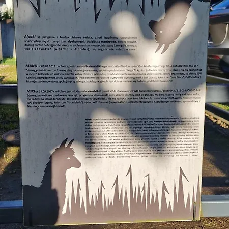 5 Zmyslow Akademia Wypoczynku Grzybowo (West Pomeranian)