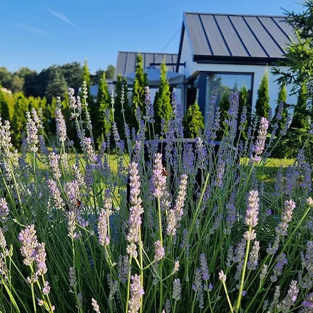 5 Zmyslow Akademia Wypoczynku Bed & Breakfast