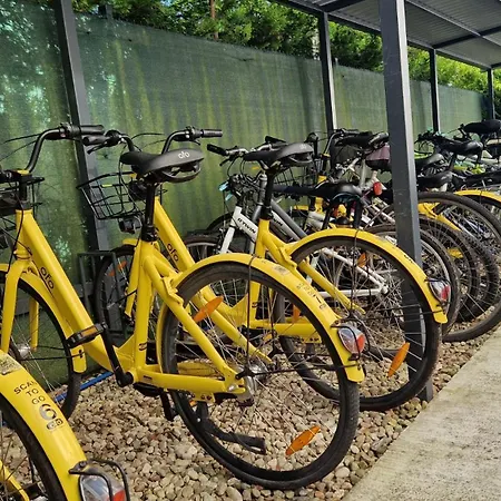 5 Zmyslow Akademia Wypoczynku